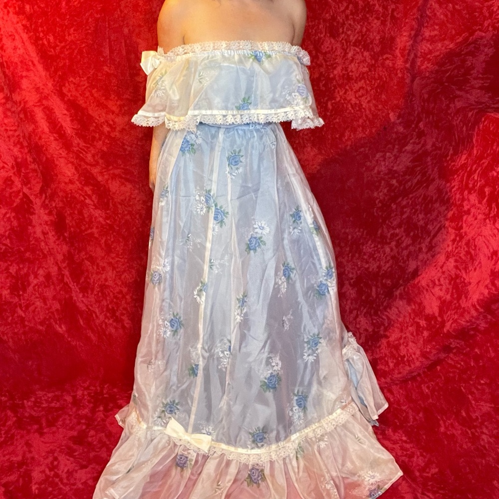 Vintage 70s blue floral prairie cottage core gown dress